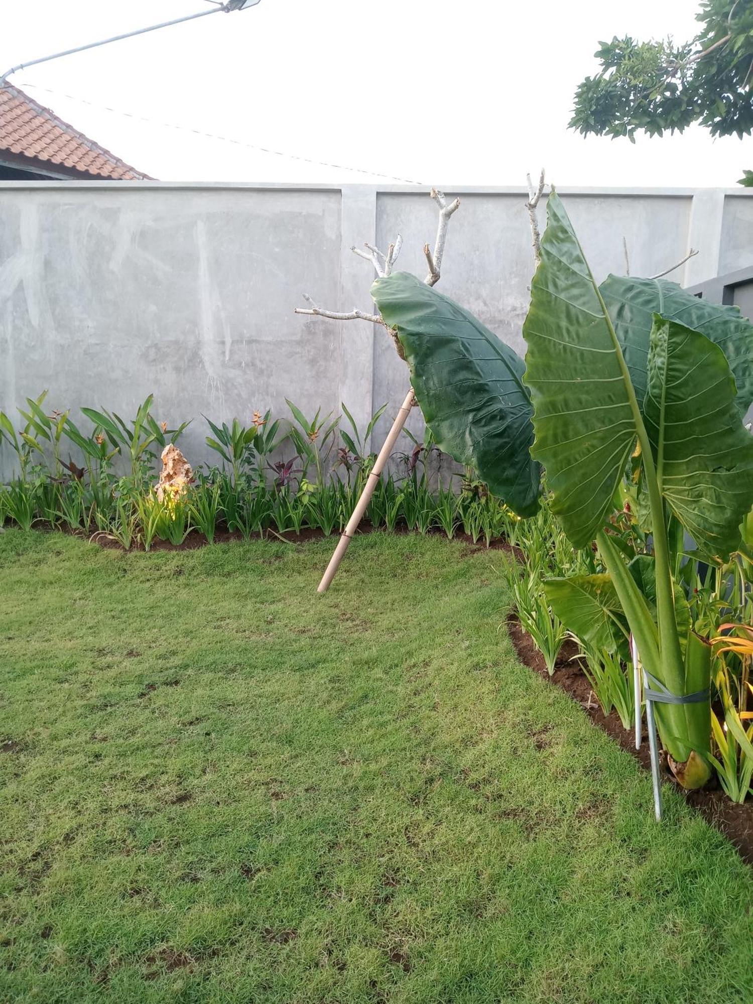 Parama Homestay Balangan Uluwatu Dış mekan fotoğraf