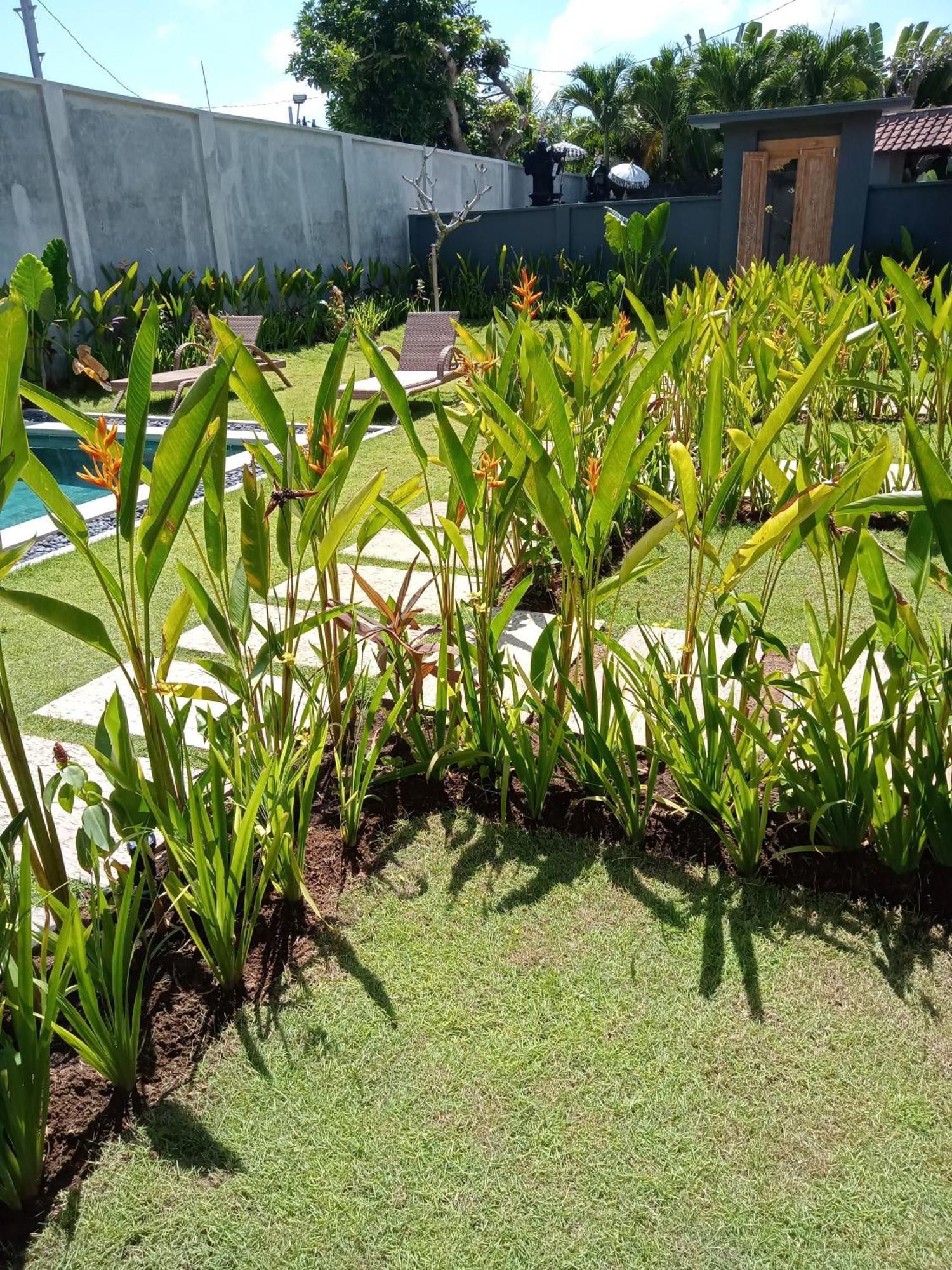 Parama Homestay Balangan Uluwatu Dış mekan fotoğraf