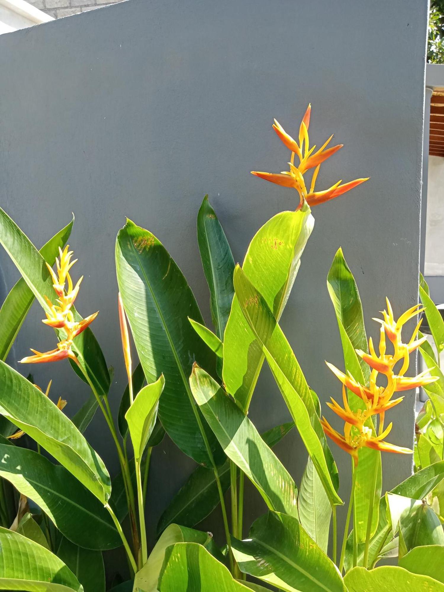 Parama Homestay Balangan Uluwatu Dış mekan fotoğraf